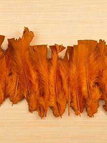 Pluma de Pollo naranja. - Naranja - Ver 5