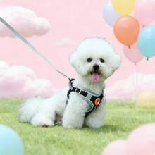 Dây đeo ngực thoáng khí cho chó nhỏ, chó Poodle, chó Chihuahua. - Hồng - Xem 5