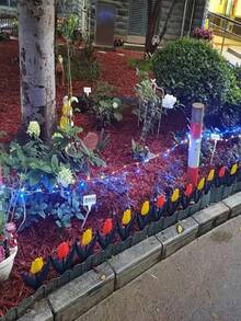 6/12pcs Plastic Tulip Flower Shaped Garden Fence, Easy To Assemble Decorative Edging, Suitable For Fairy Garden, Yard, Outdoor Decor, Multi-Functional, Vibrant Colors: Red, Yellow, Blue And Pink Tulip Pattern To Beautify Your Yard. Plastic Material: Lightweight, Weather-Resistant, Easy To Install. Ideal For Gardening Enthusiasts, Yard/Balcony Decor, Garden Edging, Balcony Planter Decoration, And Landscape Design. - Tulip-shaped Fence - View 9