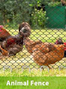 花园地钉/桩钉/U型钉 - 150毫米/6英寸，适用于控制膜/织物/人造草坪/垫子/网状物，镀锌地钉 - U型地釘 - 查看 4