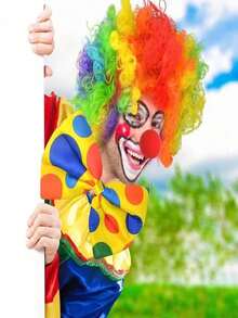 4件套嘉年华小丑服装套装，包括：彩虹小丑假发、鼻子、领结、白色手套、嘉年华派对小丑配饰、嘉年华服装 - 彩色 - 查看 2