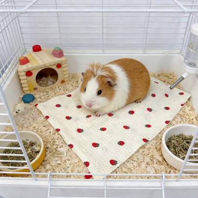 4-Season Guinea Pig Bed | Rabbit Indoor Mat, Small Pet Cage Supplies, Soft Sleeping Pad For All Seasons, Comfortable Sleep Mat, Suitable For Hedgehog/Squirrel/Ferret/Guinea Pig/Rabbit And Other Small Animals, Washable