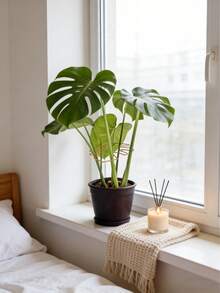 1pc Gold Minimalist Plant Stem Support Ring, Reusable Metal Plant Stand Suitable For Monstera, Ivy, Indoor Potted Plants, All Season Gardening Tool - Monstera Leaves - View 3