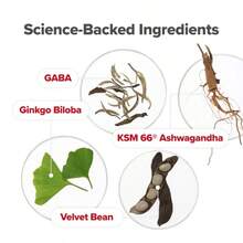 Intimate Moisture & Mood Balance Duo – Vaginal Suppositories + Feminine Wellness Capsules | Hydration, PH Balance & Daily Comfort Support | Feel Fresh, Balanced & Confident | Best Value Bundle - OP-MOOD60-1PK - Xem 4