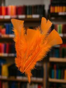 Pluma de Pollo naranja. - Naranja - Ver 4