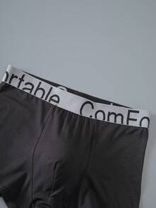 4条装青少年男童字母腰带平角内裤，中腰款 - 彩色 - 查看 3