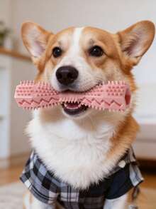 狗狗磨牙玩具，耐用狗狗牙刷棒，适合小型、中型和大型犬的幼犬磨牙玩具，宠物牙齿护理磨牙玩具，清洁牙齿，缓解无聊和焦虑 - 彩色 - 查看 2