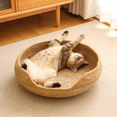 1个圆形猫窝，舒适宠物窝，适合猫咪和小型犬，采用猫咪友好材质，室内/室外均可使用，经久耐用且便于携带，适合所有体型的猫咪。