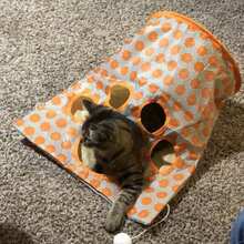 Đồ chơi cho mèo, Đường hầm hình kim cương cho mèo, Đường hầm giấy phát ra tiếng động cho mèo, Túi ngủ cho mèo, Đường hầm gấp gọn tự giải trí cho mèo - Nhiều màu - Xem 3