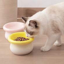 这款陶瓷猫碗既是宠物食盆，又是水碗，还能保护狗狗和猫咪的下巴。它有助于防止颈部皮肤发黑，同时还能防止食物溢出，保持卫生。而且易于清洗。 - 280毫升 - 查看 5