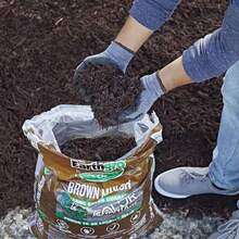 1.5 Cu. Ft. Brown Wood Shredded Bagged Mulch - Brown - 查看 3