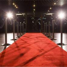 39*393英寸豪华高端红毯，适合室内外使用，可用于婚礼、生日派对、舞会、红毯仪式、电影主题派对等场合。 - 紅色 - 查看 3