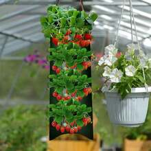 1 túi trồng dâu tây treo, túi trồng dâu tây nhiều ngăn, túi trồng dâu tây đa năng - Nhiều màu - Xem 5