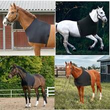 1pc Horse Chest Protector, Anti-Friction & Anti-Bite Chest Protector For Horses, High Elasticity Horse Shoulder Guard, Breathable & Comfortable Horse Chest Vest, Suitable For Riding Training - Multicolor - View 9