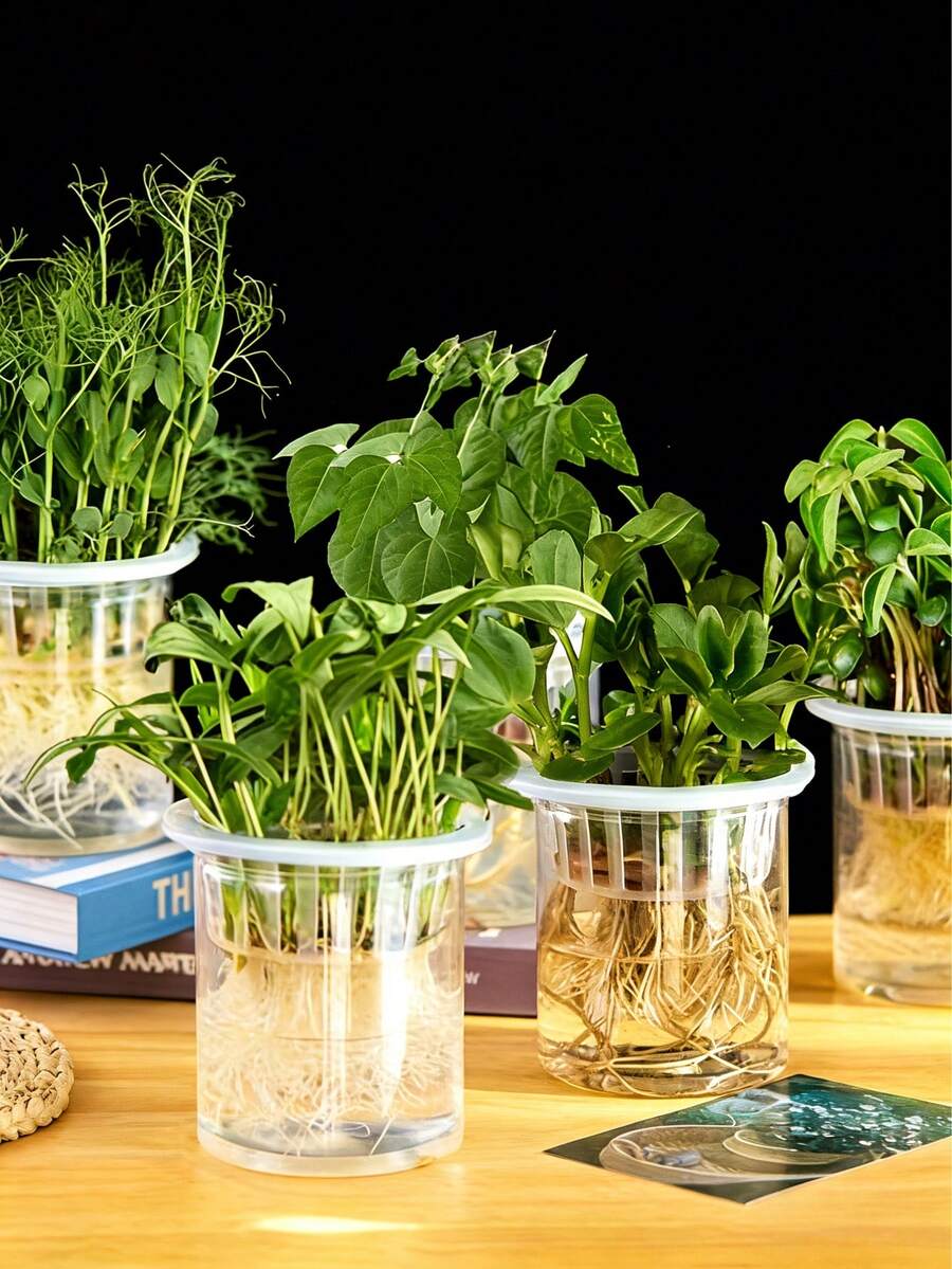 10个装水培蔬菜种植篮,种植篮,塑料花盆,适用于家庭阳台园艺和苗圃水培,育苗盘,室内植物盆栽,园艺用品 - 多色 - 查看 1