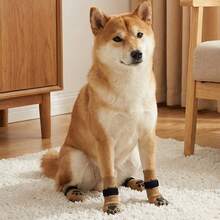 4pcs Pet Socks, Comfortable Anti-Slip Design, Lightweight Summer Style, Hook And Loop Closure Won't Fall Off, Multiple Sizes Available, Suitable For All Dogs - Multicolor - View 6
