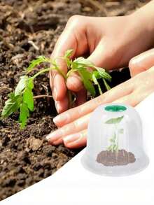 1个/10个/30个装 耐用可重复使用的家用植物种子保护罩，钟形温室罩，防止鸟类、霜冻和害虫侵害，绿色环保，品质优良，适用于幼苗培育 - 透明 - 查看 12