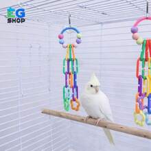 半件装悬挂式鸟类玩具，包含彩色珠子和星星配件，可缓解鸟类咀嚼无聊，经久耐用的互动设计满足小型鹦鹉的咀嚼本能，适合爱情鸟和幼鹦鹉。 - 查看 6