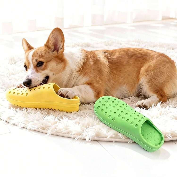 2pcs Dog Toys - Slipper + Chew & Dental Care Tool, Suitable For Dogs Of All Sizes, Great For Puppies & Adult Dogs, Can Hide Food And Stimulate Dog Intelligence - Multicolor - View 5