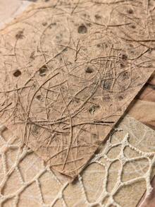 15pcs/Pack Vintage Soft Floral Botanical Mesh Background Decorative Paper, DIY Collage Material - BQ1052 - View 5