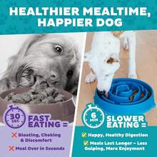 Fun Feeder Slo Bowl – Large 4‑Cup Capacity, Slow Feeding, Medium To Large Dogs, Non‑Slip, Purple, Flower Pattern YYZU - màu ngọc lam - Xem 7