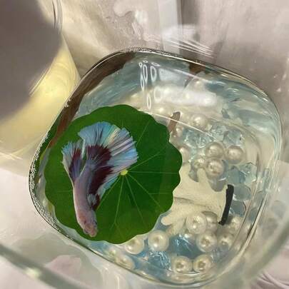 Betta Fish Resting Artificial Lotus Leaves, Aquarium Decor Simulation Water Plants Leaves For Fish Hiding & Spawning