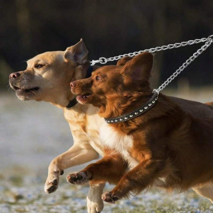 2条装重型不锈钢双头狗牵引绳，适合同时遛两只宠物，大型犬安全牵引绳 - 彩色 - 查看 1