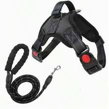 Dây dắt chó cỡ nhỏ đến trung bình, dây dắt chó đi dạo, dây kéo chó. - Nhiều màu - Xem 11