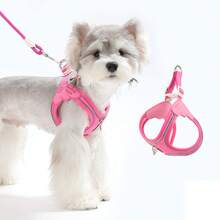 2件套小型犬软网胸背带及牵引绳套装,防逃脱训练背心,带反光条,可调节,适合小型、中型犬和猫 - 彩色 - 查看 2