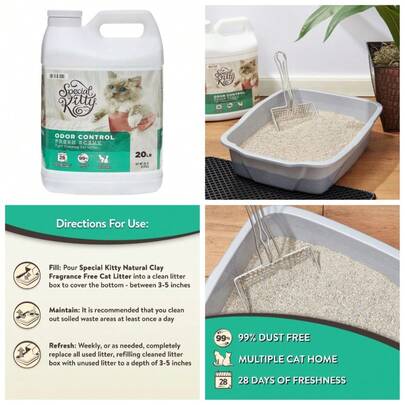 Clumping Clay Cat Litter With Fresh Scent, 20 Pound Jug