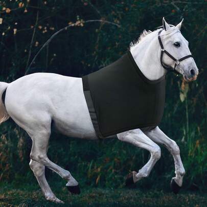 1 pieza Protector de pecho para caballo, equipo de montar a caballo ligero y transpirable, babero antifricción, repelente de mosquitos, equipo de equitación