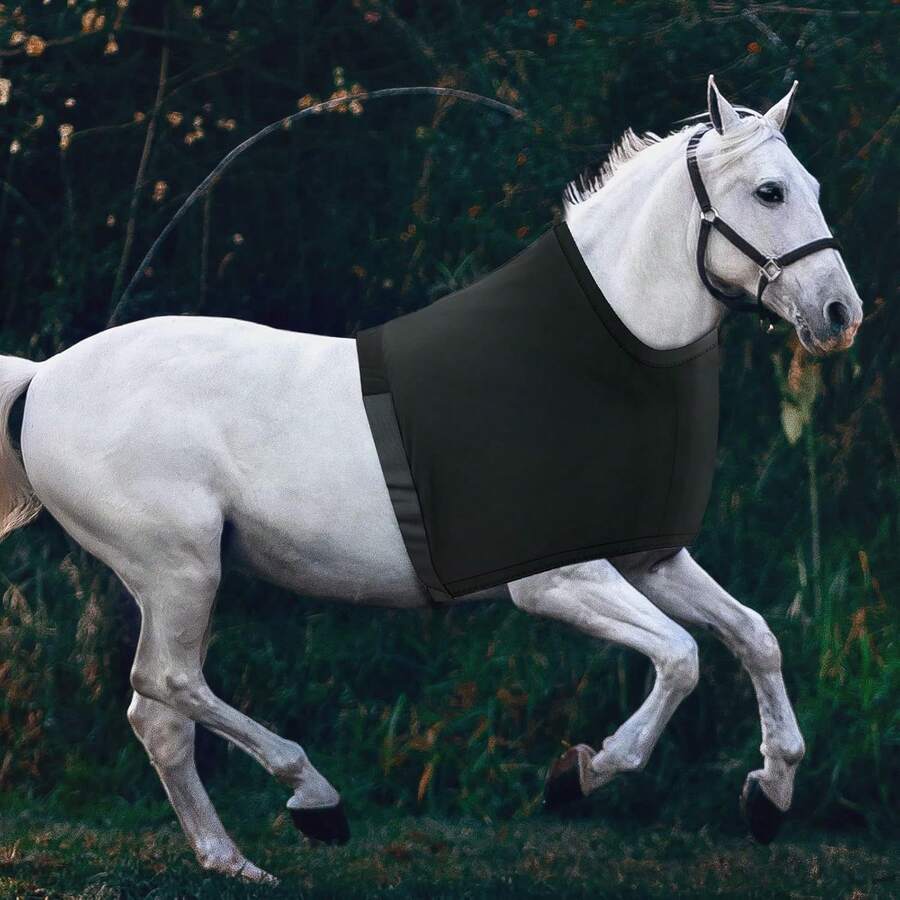 1pc Horse Chest Protector, Anti-Friction & Anti-Bite Chest Protector For Horses, High Elasticity Horse Shoulder Guard, Breathable & Comfortable Horse Chest Vest, Suitable For Riding Training - Multicolor - View 1