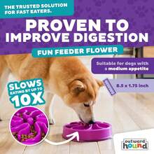 Fun Feeder Slo Bowl – Medium 2‑Cup Capacity, Slow Feeding, Small To Medium Dogs & Cats, Non-Slip, Turquoise, Drop Pattern UXP2 - Purple - 查看 4