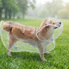 XS-3XL EVA Transparent Pet Raincoat, For Small To Medium Dogs - Blue - View 2