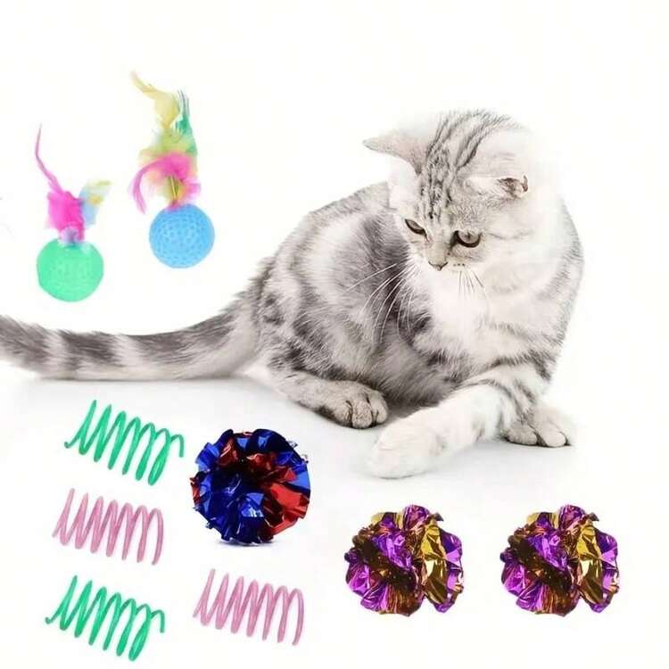10件套随机颜色和款式宠物猫玩具套装，包括沙沙作响的纸球和弹簧逗猫棒互动玩具组合 - 查看 4