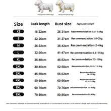 XS-3XL EVA Transparent Pet Raincoat, For Small To Medium Dogs - Blue - View 8