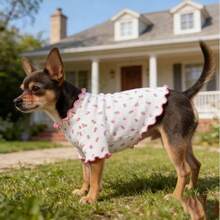 1 buah Pakaian Anjing/Kucing Peliharaan, Motif Bunga Seluruh Permukaan dengan Hiasan Pita Merah Muda, Pakaian Kasual yang Bernapas & Nyaman untuk Teddy, Poodle, Chihuahua, Cocok untuk Musim Semi/Musim Gugur - Hot Pink - View 9