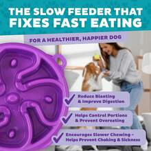 Fun Feeder Slo Bowl – Medium 2‑Cup Capacity, Slow Feeding, Small To Medium Dogs & Cats, Non-Slip, Turquoise, Drop Pattern 7YQT - Purple - View 5