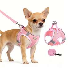 2件套宠物狗旅行胸背带套装，狗狗胸带和牵引绳套装，户外散步胸背带，易于调节的胸带 - 彩色 - 查看 26