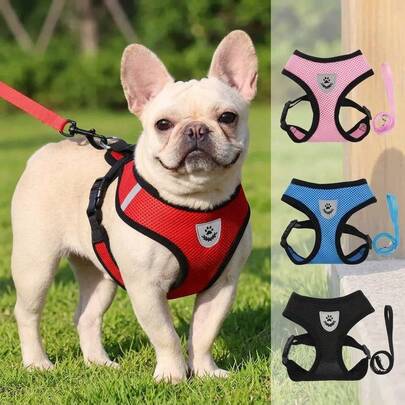 Reflective Escape-Proof Cat & Dog Harness Set, Adjustable Breathable Mesh Walking Leash With Safety Strap, Soft Comfortable Step-In Pet Vest For All Seasons