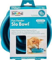 Fun Feeder Slo Bowl – Medium 2‑Cup Capacity, Slow Feeding, Small To Medium Dogs & Cats, Non-Slip, Turquoise, Drop Pattern UXP2 - màu ngọc lam - Xem 2