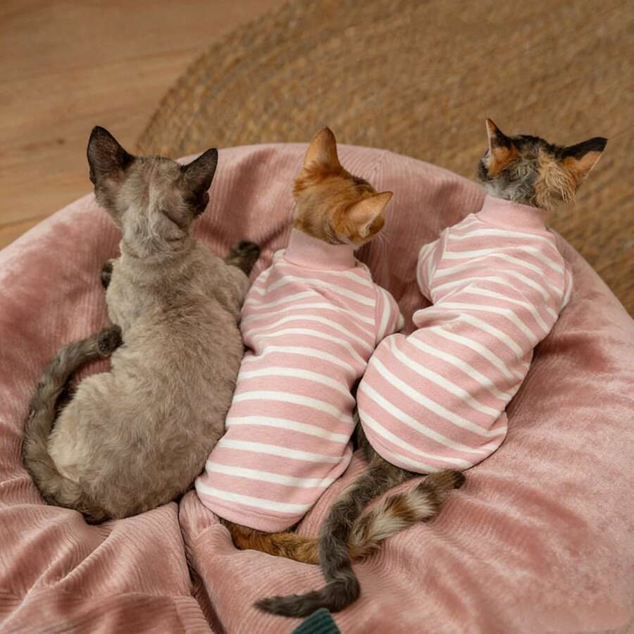 Áo sơ mi bốn chân sọc hoạt hình mùa Thu/Đông, quần áo ấm áp thân thiện với da bảo vệ bụng cho mèo không lông, áo lót cho mèo Anh lông ngắn, mèo Ragdoll, mèo Sphynx, quần áo chống rụng lông cho mèo. - Hồng - Xem 1