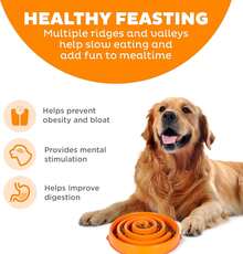 Tazón Slo Fun Feeder - Capacidad grande de 4 tazas, alimentación lenta, perros medianos a grandes, antideslizante, púrpura, patrón de flores YYZU - Naranja - Ver 2