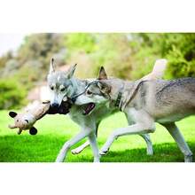 Outward Hound By Charming Pet Cuddle Tugs Bunny Pl 11ush Squeaky Dog Toy - TugsBunny1Count - 查看 5