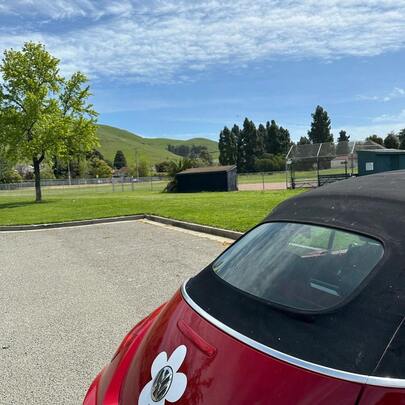 1张雏菊图案汽车贴纸，有纯色和波点两种款式，多种颜色可选