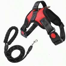 Dây dắt chó cỡ nhỏ đến trung bình, dây dắt chó đi dạo, dây kéo chó. - Nhiều màu - Xem 10