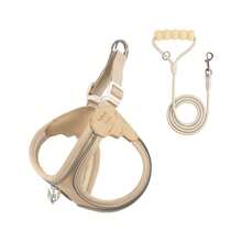 2件套小型犬软网胸背带及牵引绳套装,防逃脱训练背心,带反光条,可调节,适合小型、中型犬和猫 - 彩色 - 查看 21