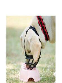 1 st justerbar anti-bit-munkorg för hundar, reflekterande munkorg lämplig för små till stora hundar, förhindrar bitande, skällande och träning, mjuk burdesign möjliggör dricka och andning - Svart - Visa 3