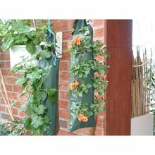 Bộ 3 túi trồng dâu tây treo, túi trồng dâu tây 6 ngăn dùng để trồng dâu tây, cà chua và ớt. - Nhiều màu - Xem 5