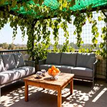 Giàn leo cây chất lượng cao, lưới mắt cáo linh hoạt, lưới tạo hình cho khu vườn. - một - Xem 4